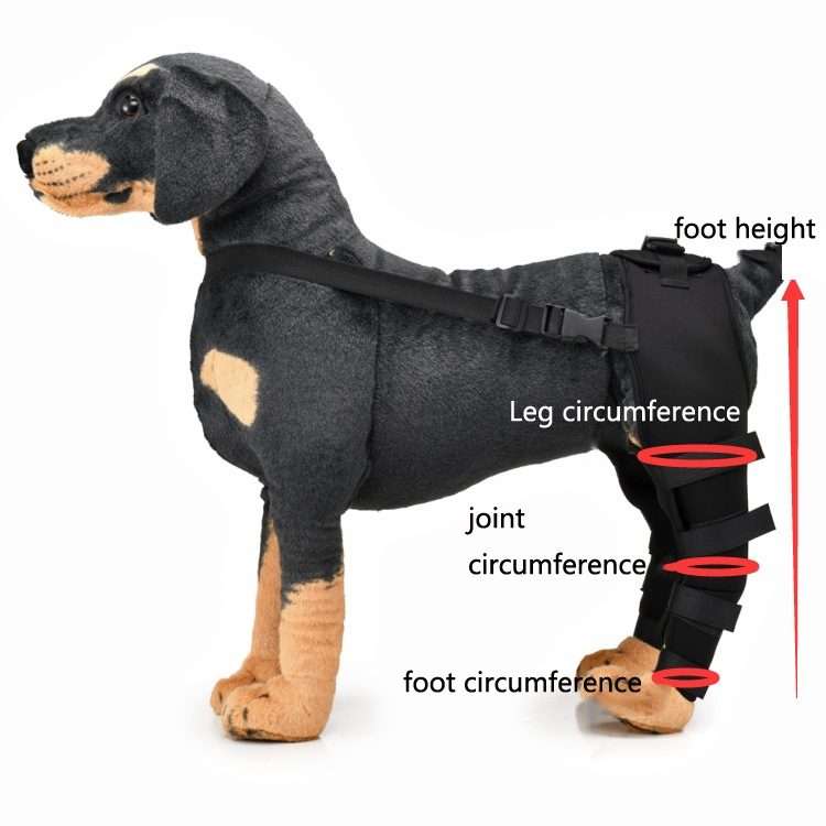 Pet Dog Leg Knee Guard Surgery Injury Protective Cover, Size: M(Blue)