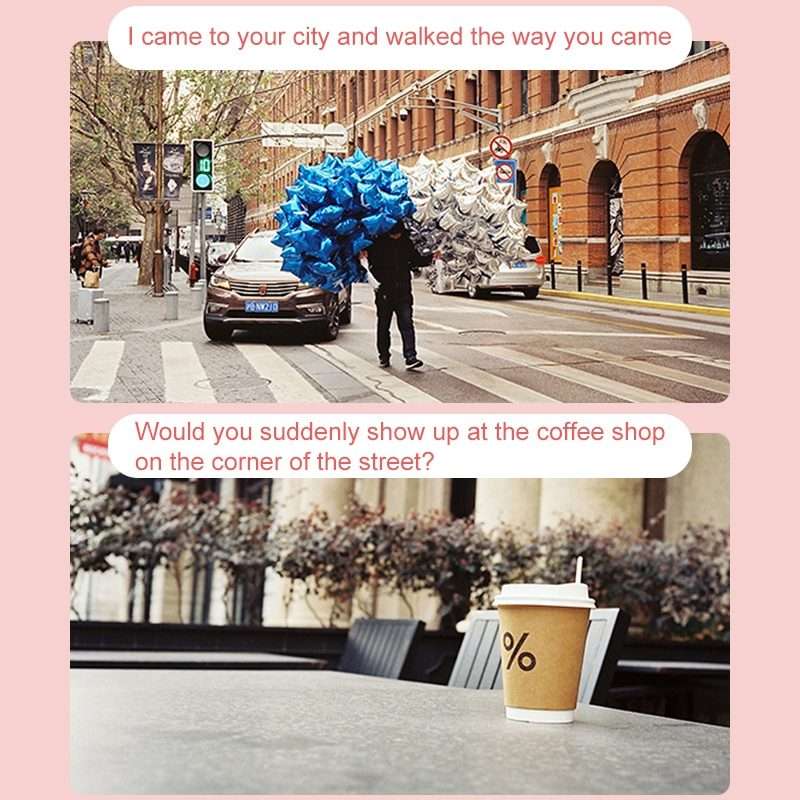 Retro Peony Cute Disposable Film Mini Point-And-Shoot Camera with 17 Sheets Films