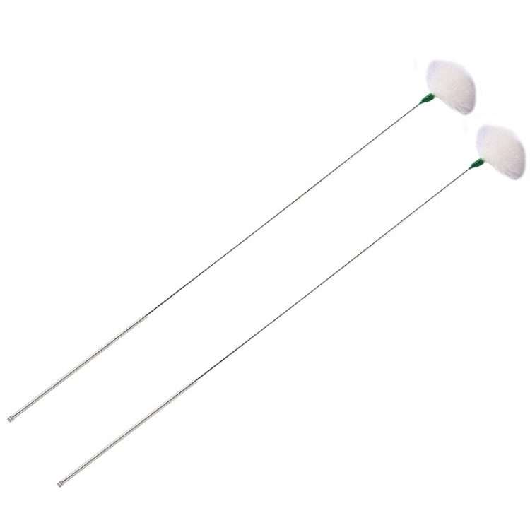 2pcs Medium Heads Silver Needle Goose Quill Stick Ear Picking Tool
