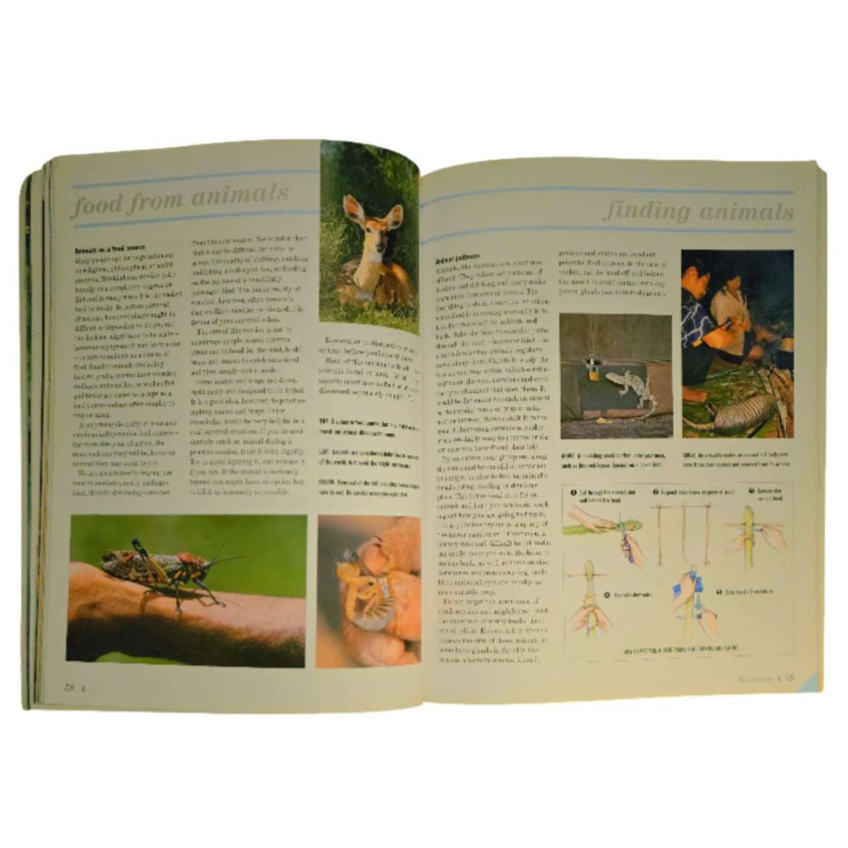 The Outdoor Survival Manual - Garth Hattingh
