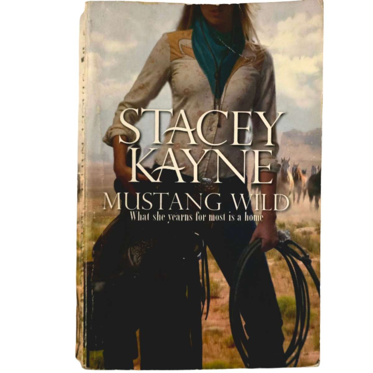 Mustang Wild - Stacey Kayne