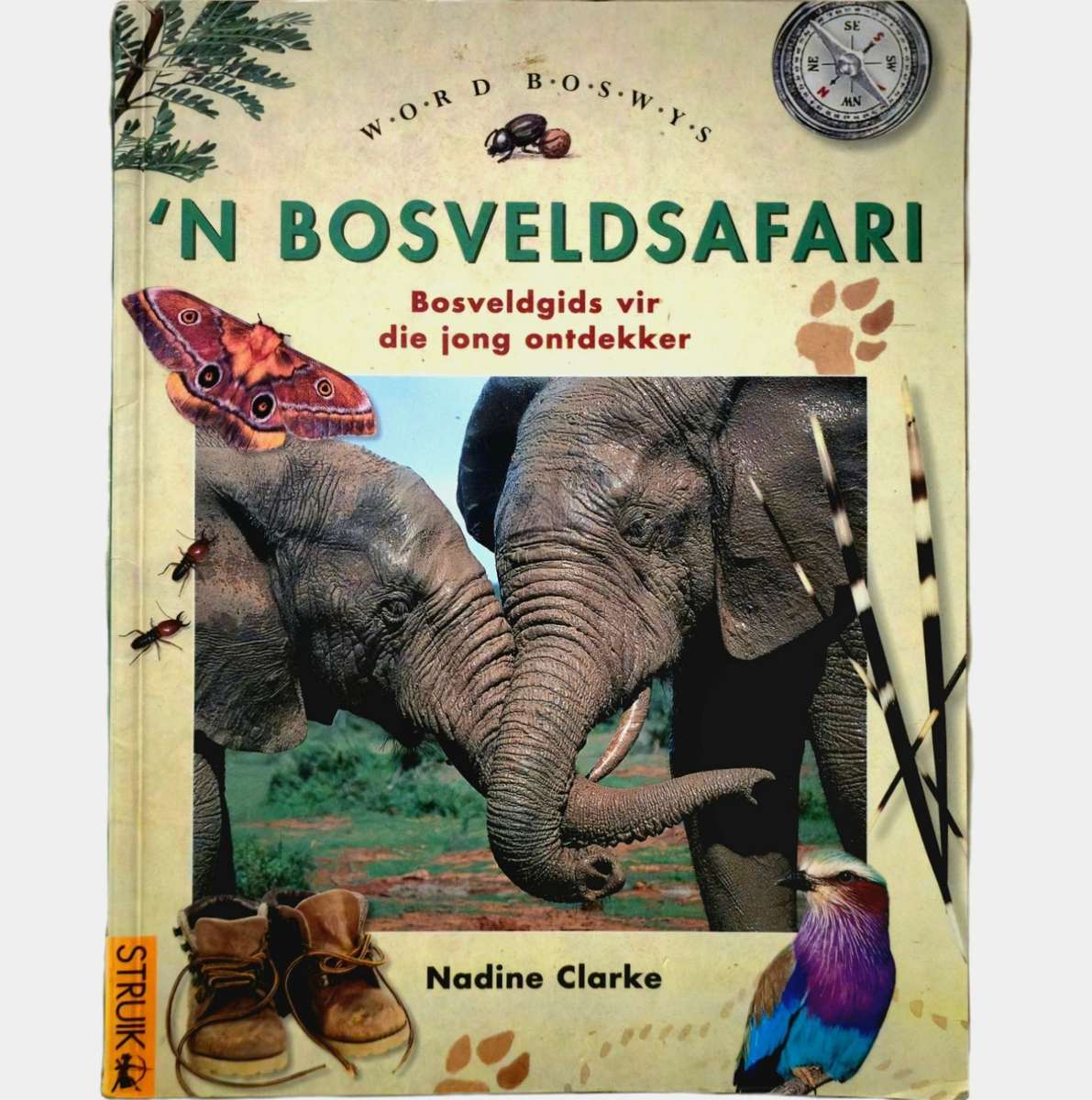 Bosveldsafari - Nadine Clarke