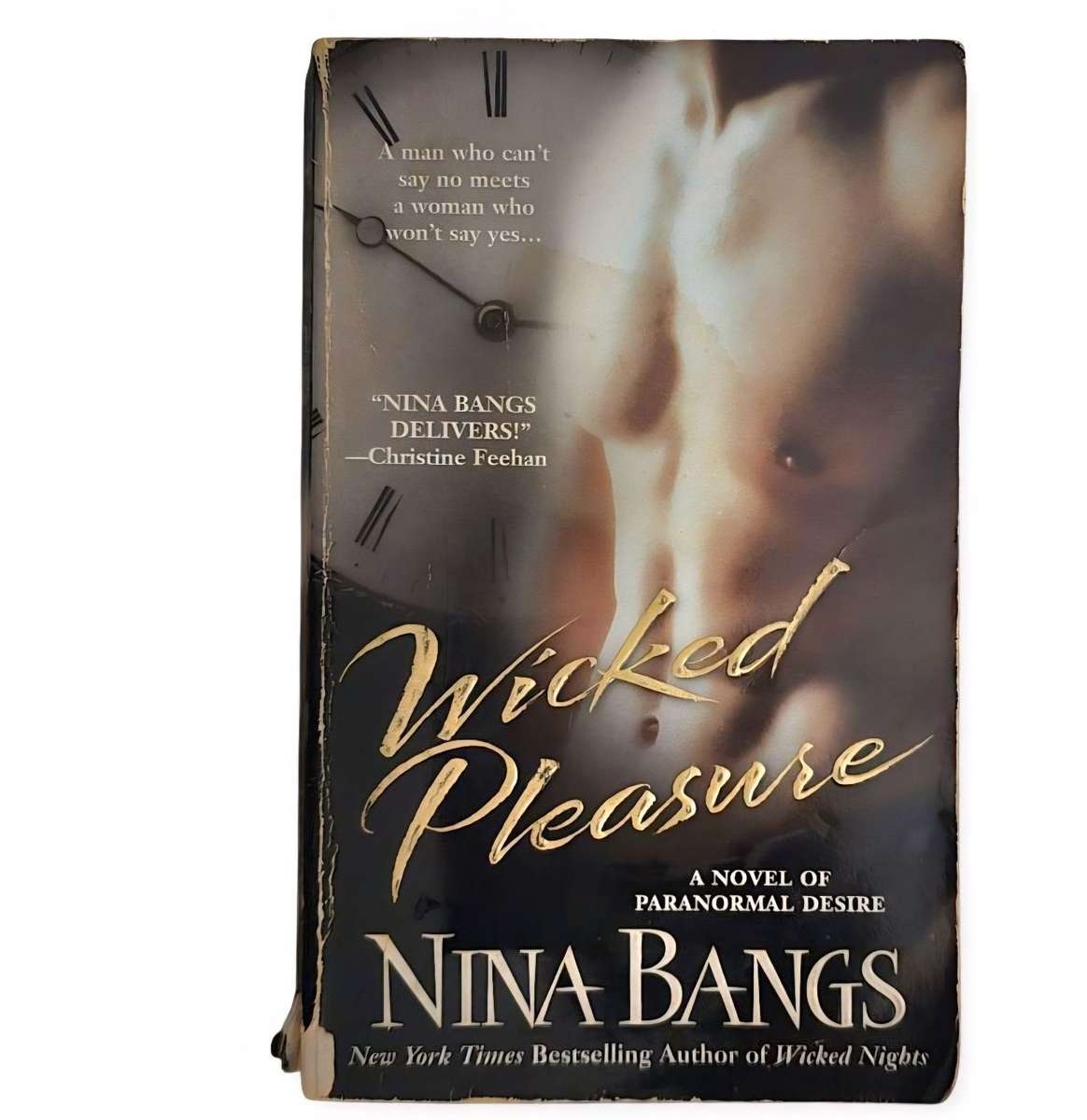 Wicked Pleasure - Nina Bangs