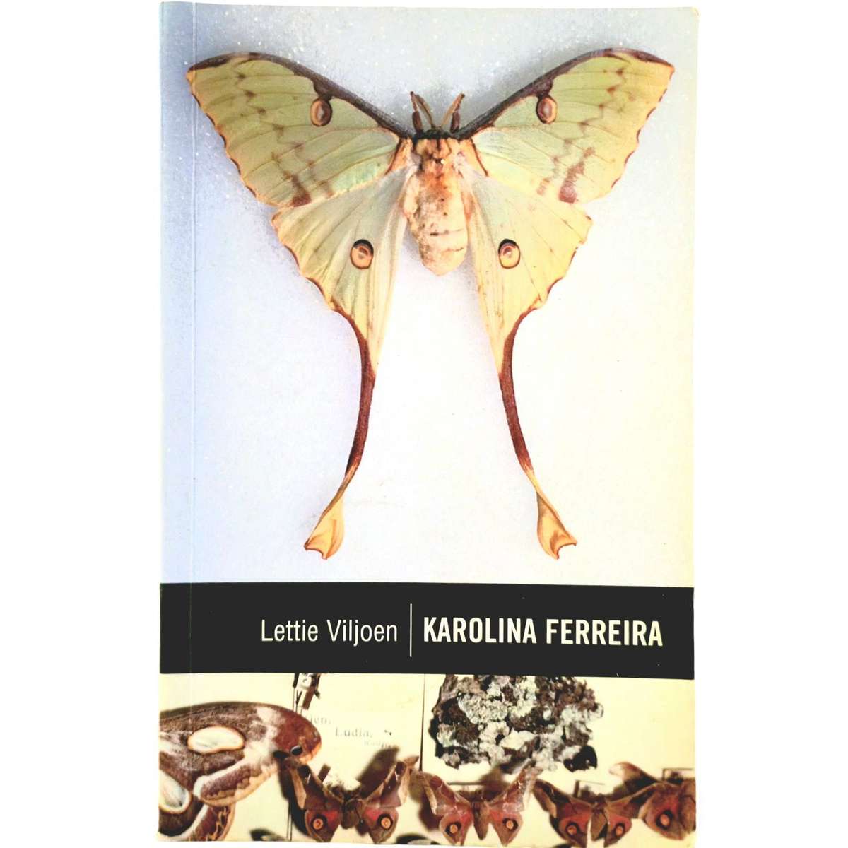 Karolina Ferreira - Lettie Viljoen