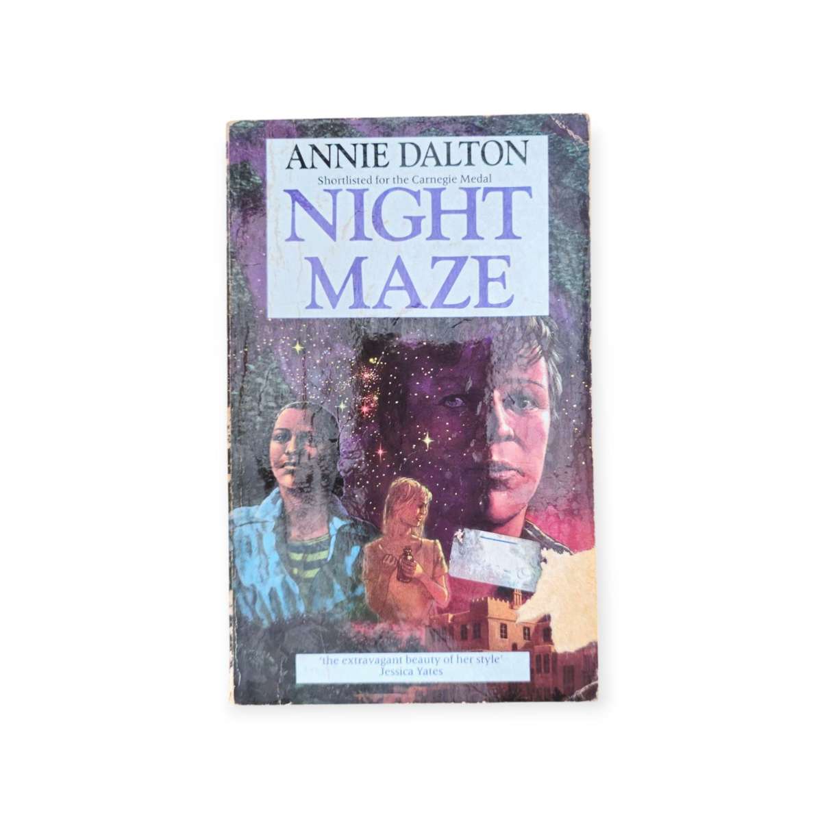 Night Maze - Annie Dalton