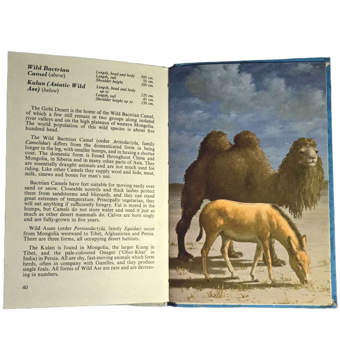 Asian Mammals (Ladybird Series 681) - John Leigh-Pemberton