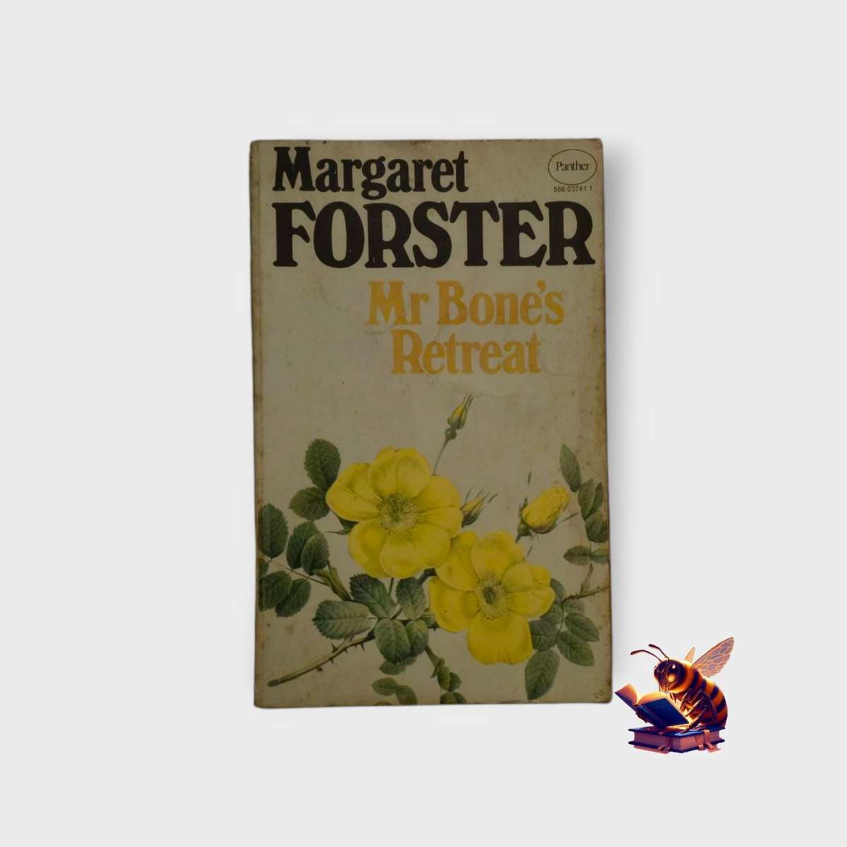 Mr Bone's Retreat - Margaret Forster