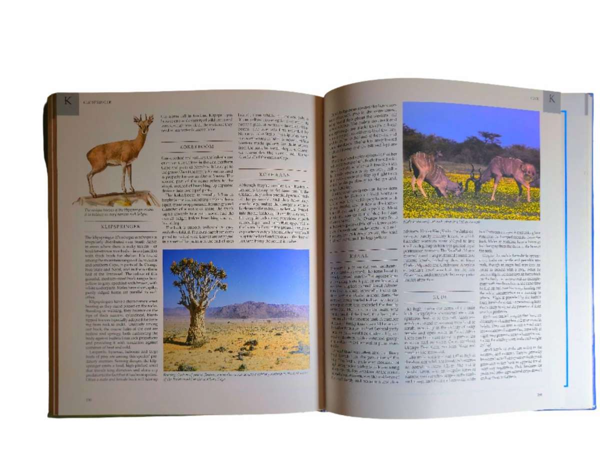 The Great South African Outdoors