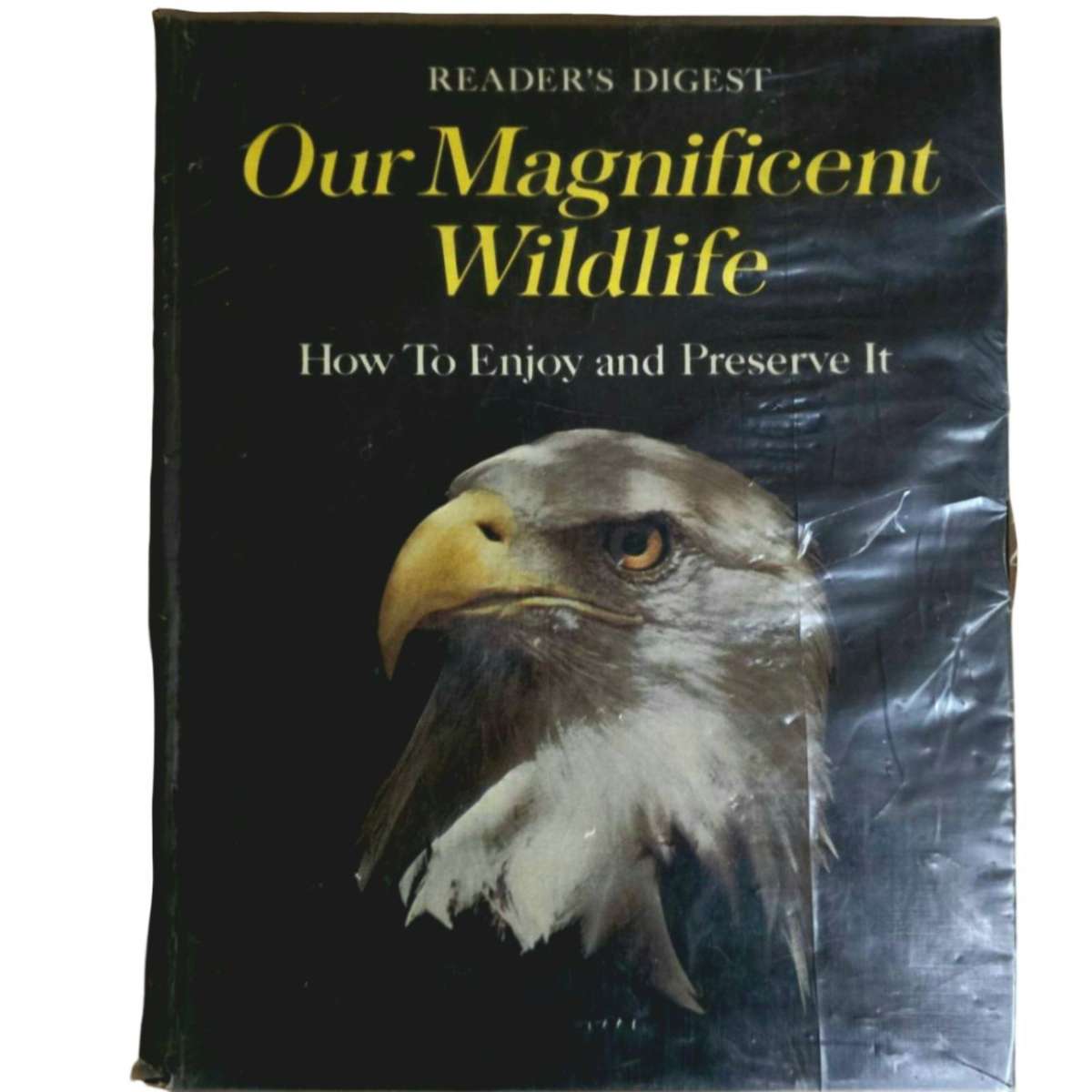 Our magnificent wildlife: how to enjoy and preserve it.