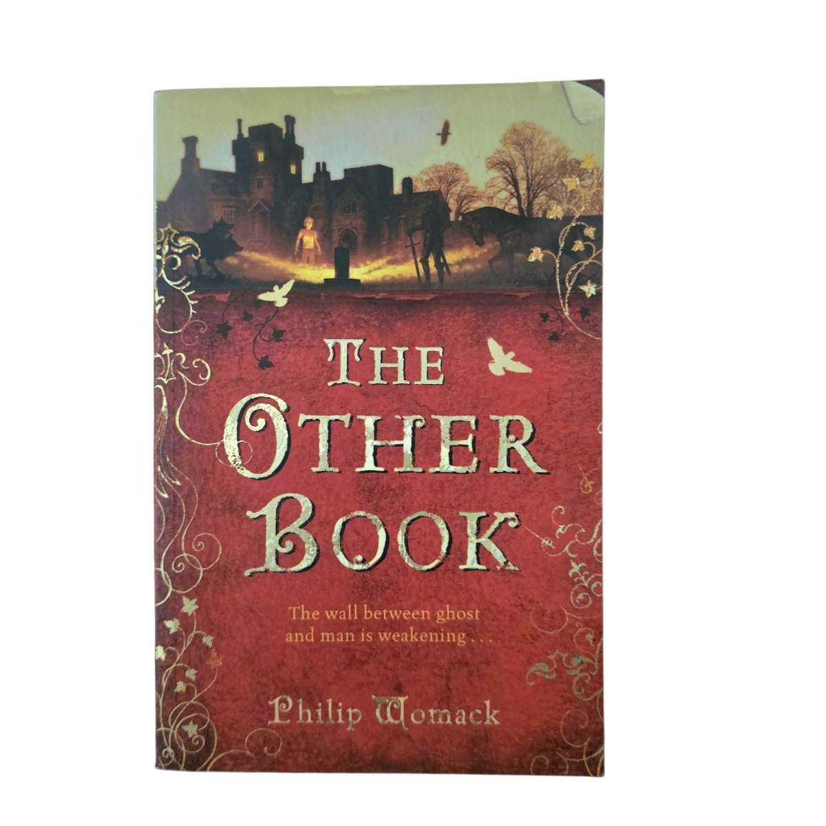 The Other Book - Philip Womack