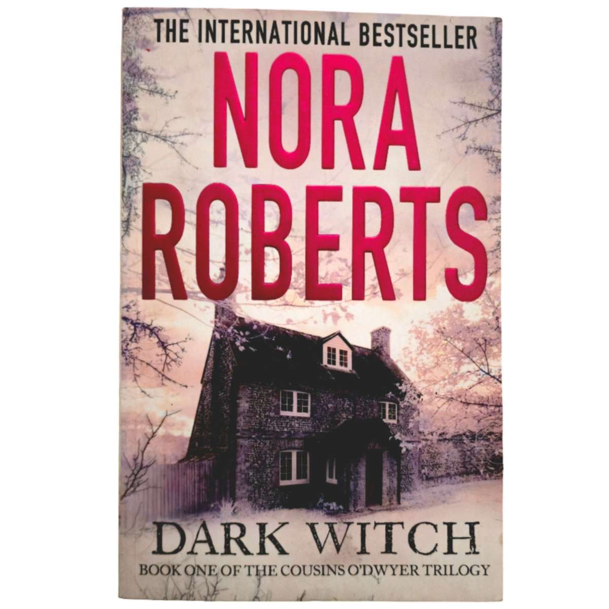 Dark Witch - Nora Roberts