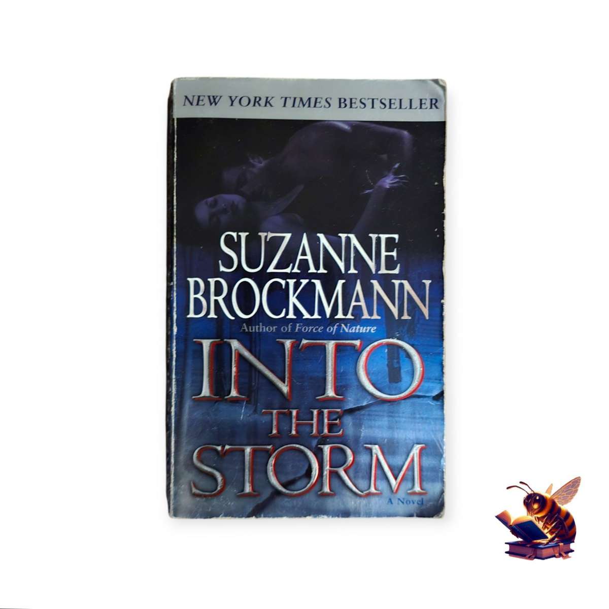 Into the storm - Suzanne Brockmann