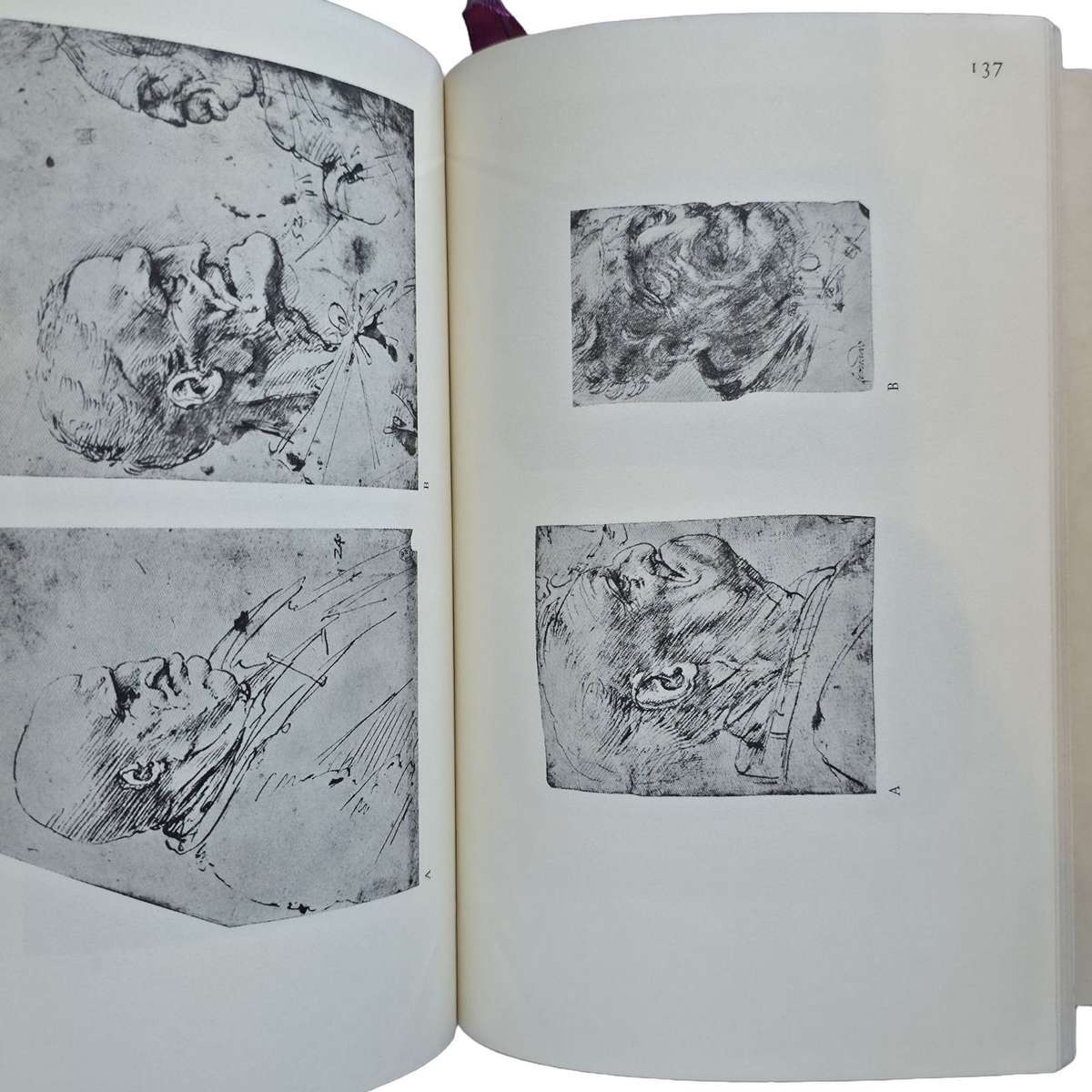 The Drawings of Leonardo Da Vinci