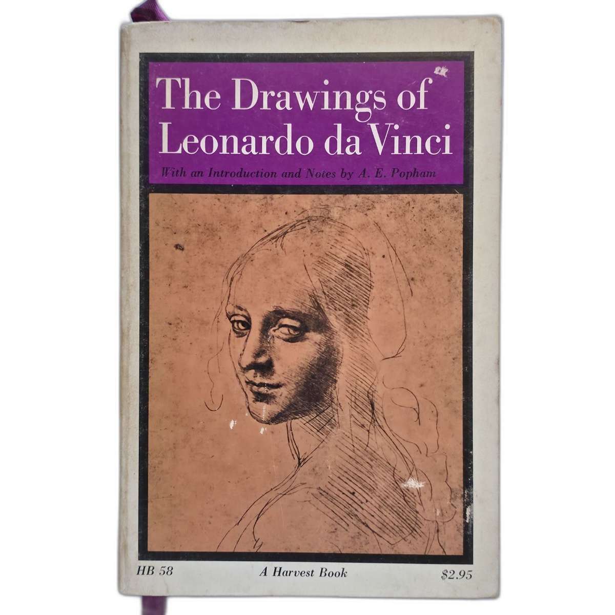 The Drawings of Leonardo Da Vinci