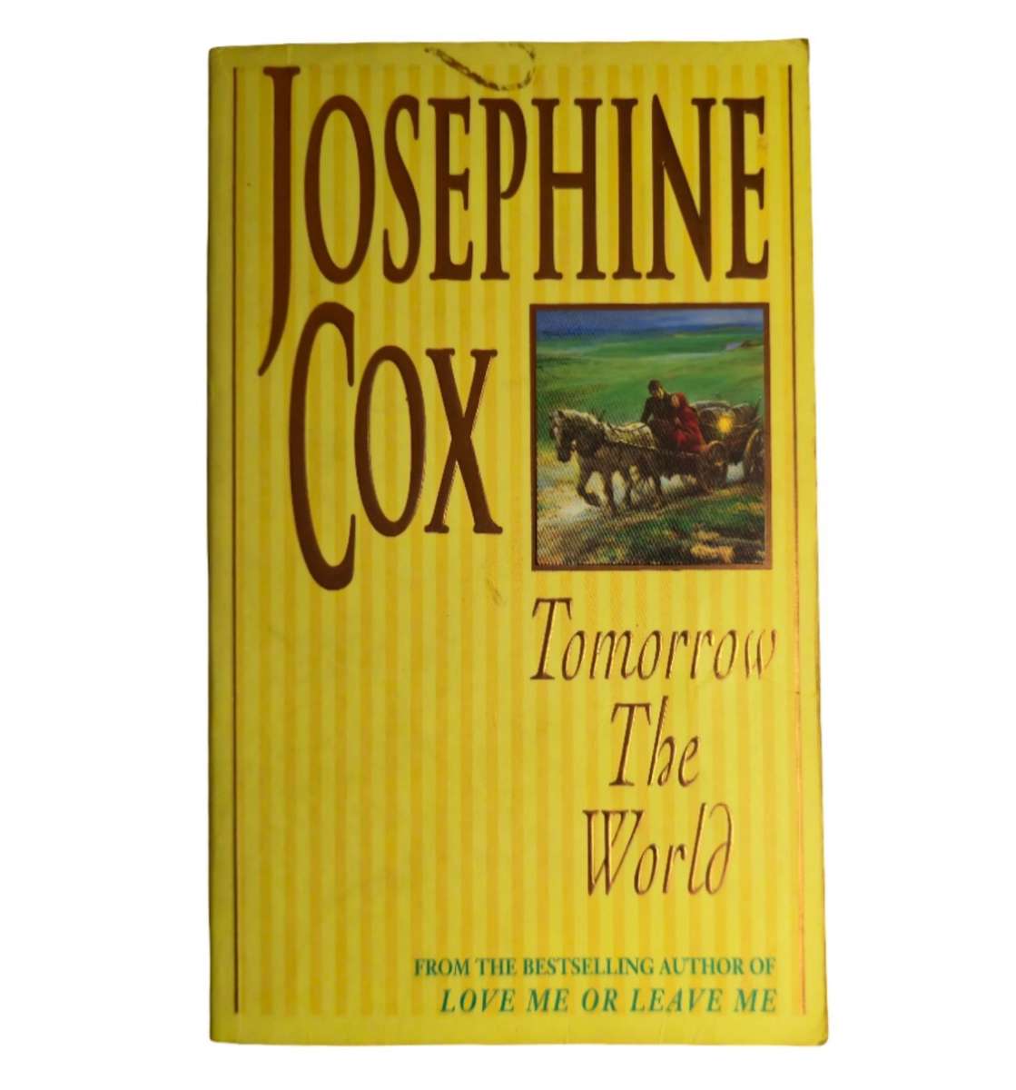 Tomorrow the World - Josephine Cox