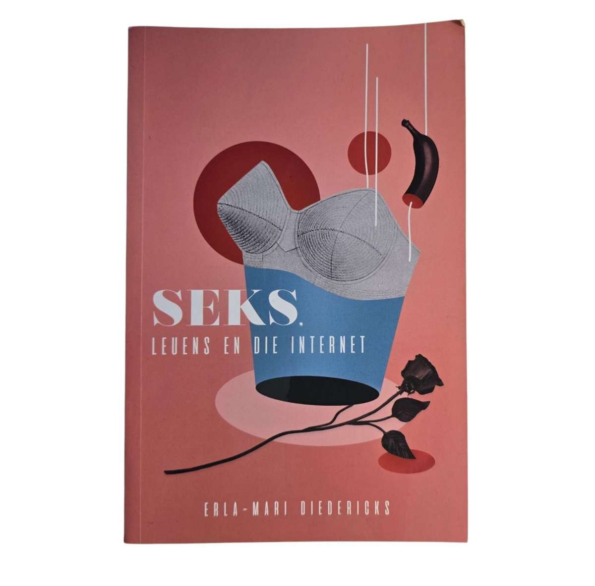 Seks, leuens en die Internet - Elra-Mari Diedericks