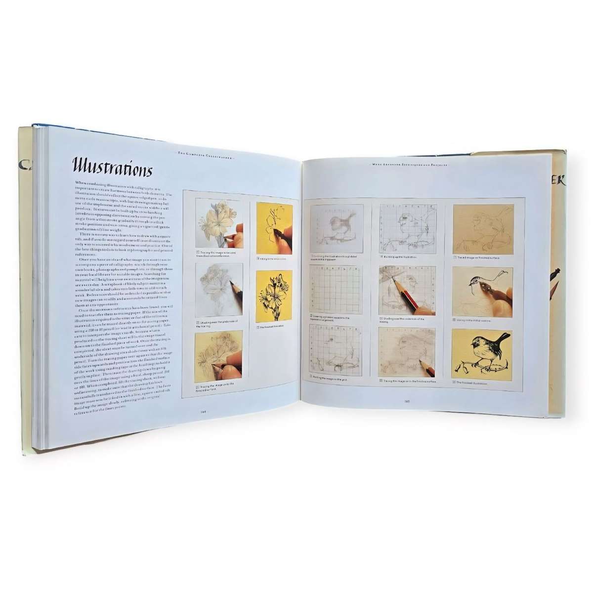 The complete calligrapher - Emma Callery