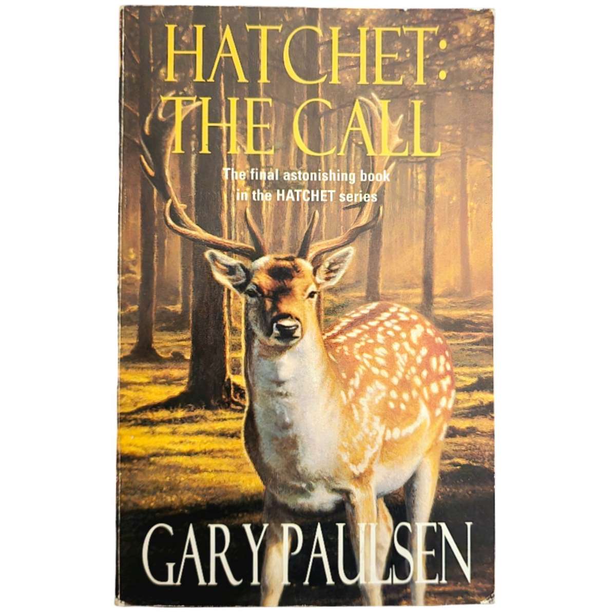 Hatchett: The Call - Gary Paulsen