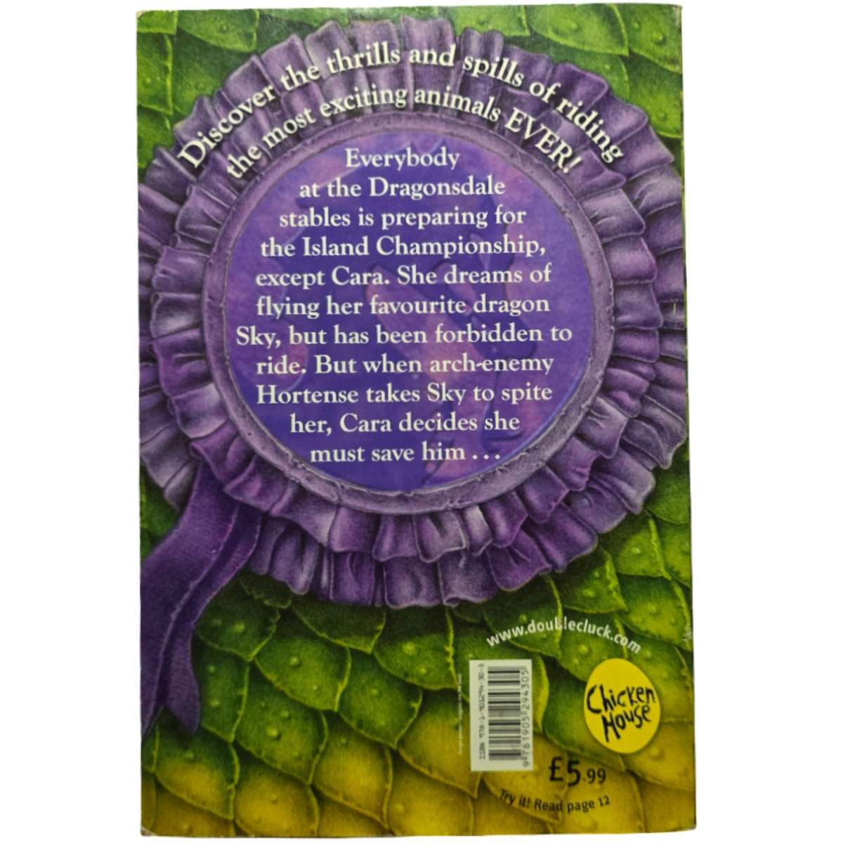 Dragonsdale - The Two Steves