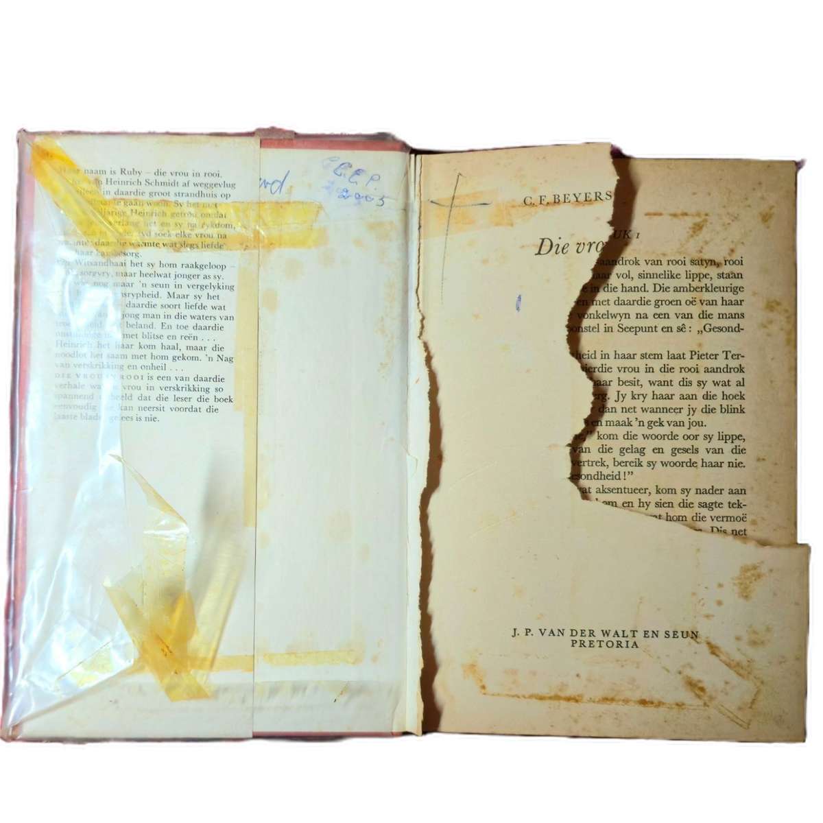 Die Vrou in Rooi - C.F. Beyers-Boshoff