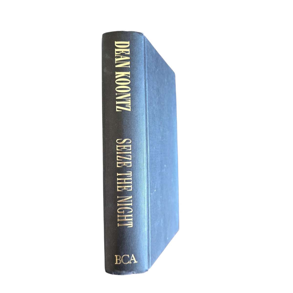 Seize the Night - Dean Koontz