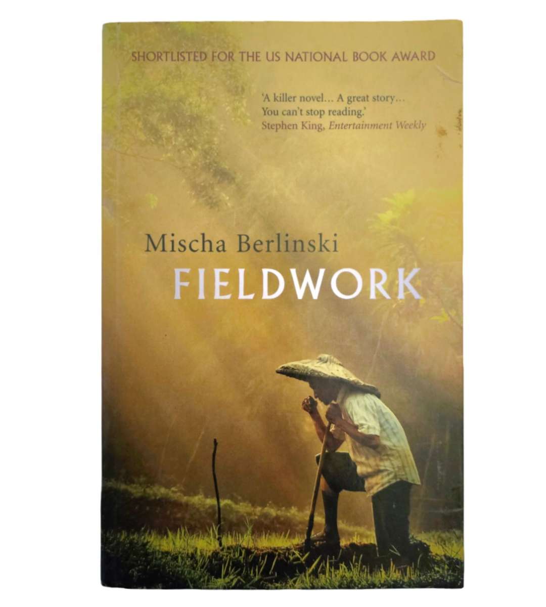 Fieldwork - Mischa berlinkski