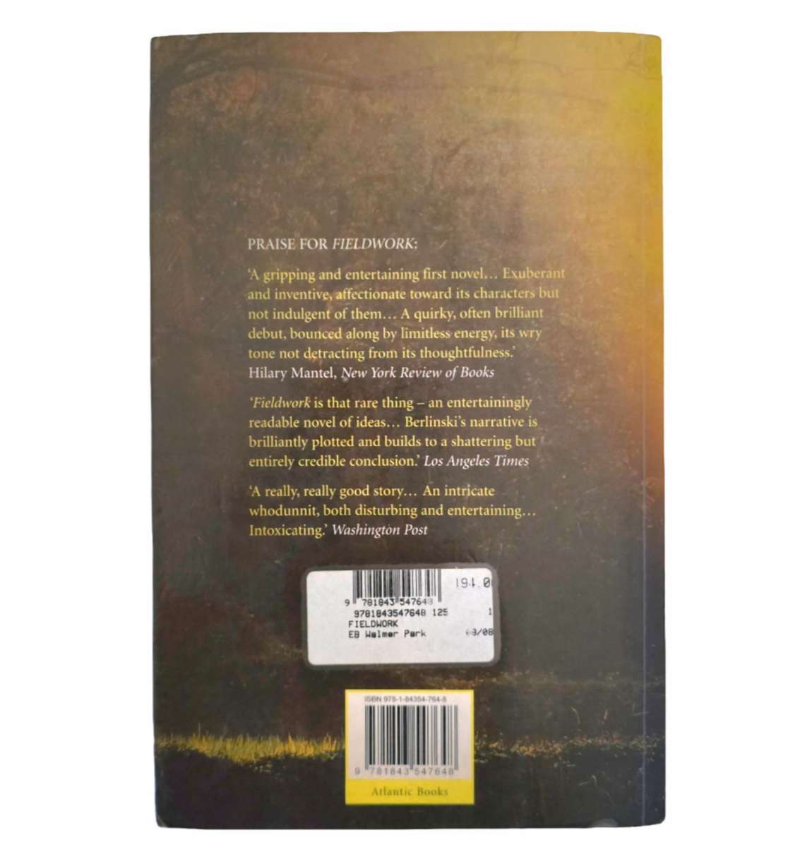 Fieldwork - Mischa berlinkski