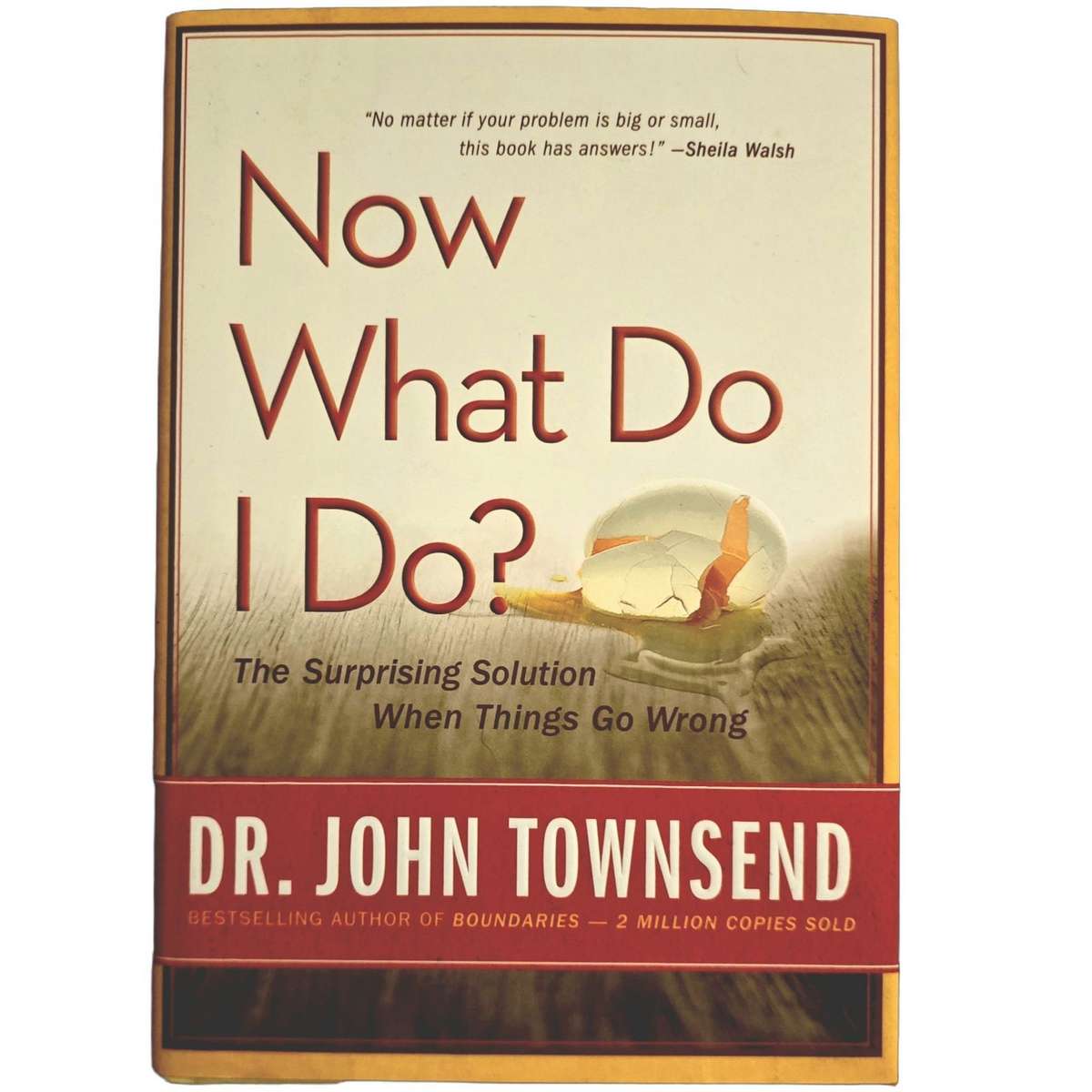 Now What do I do? - John Townsend (Copy 1)
