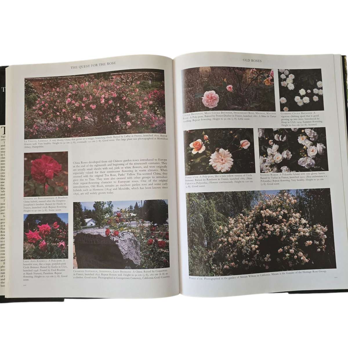 The Quest for the Rose - Roger Phillips & Martyn Rix
