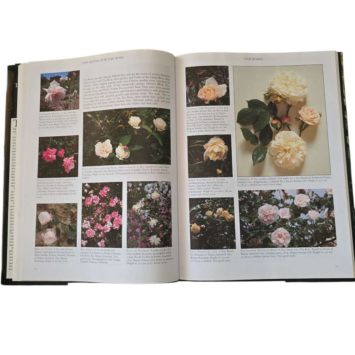 The Quest for the Rose - Roger Phillips & Martyn Rix