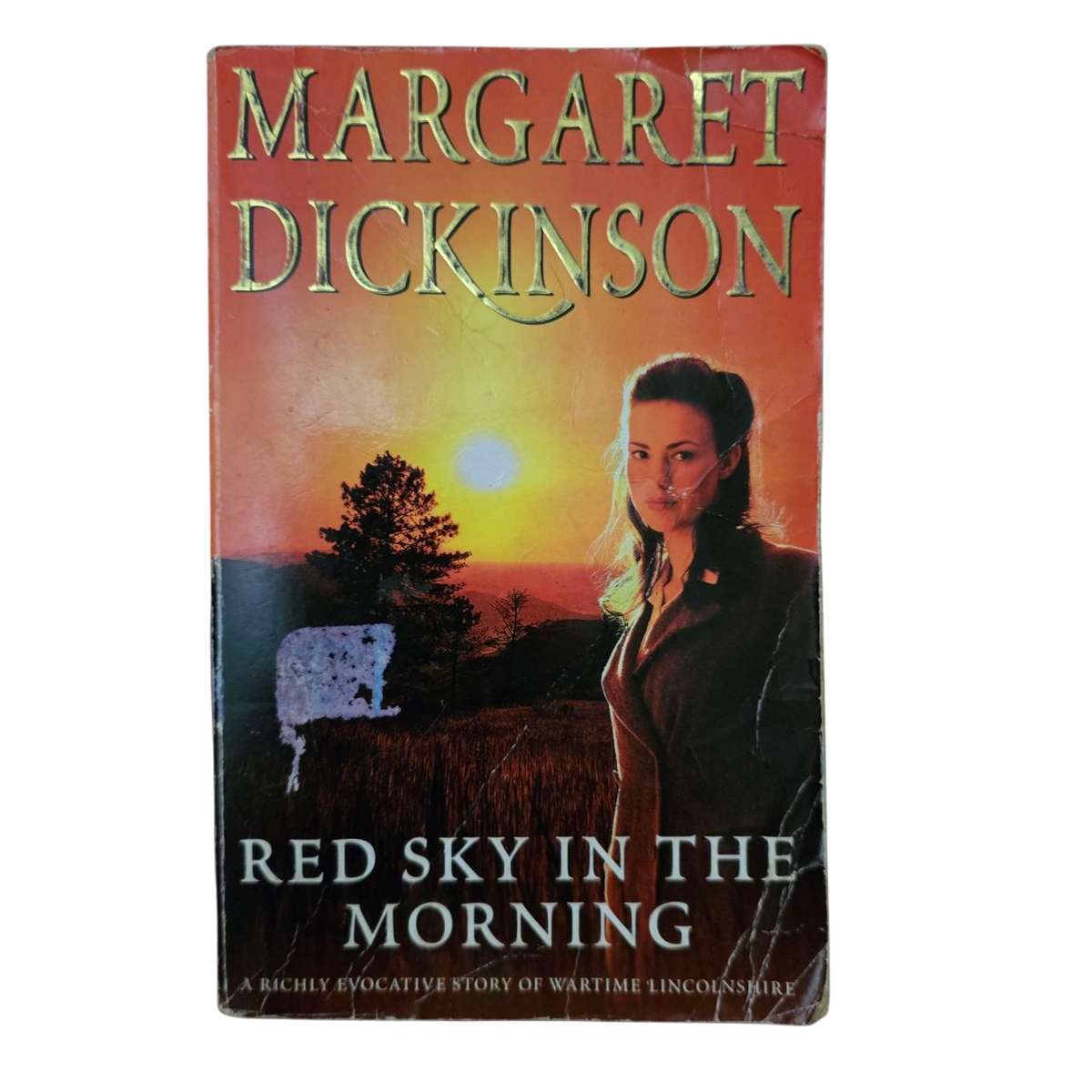 Red Sky in the Morning - Margaret Dickinson