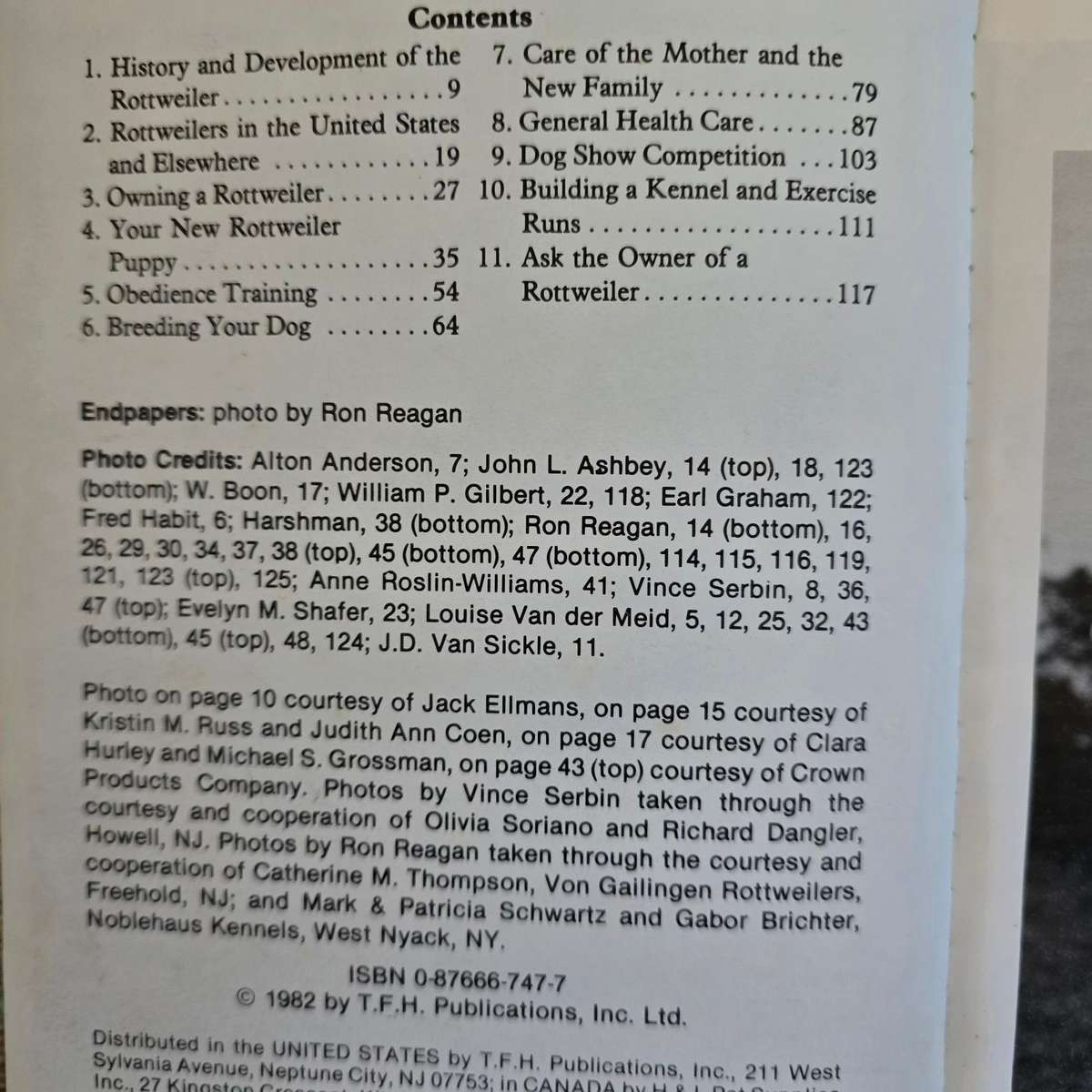 Rottweilers - Anna Katherine Nicholas