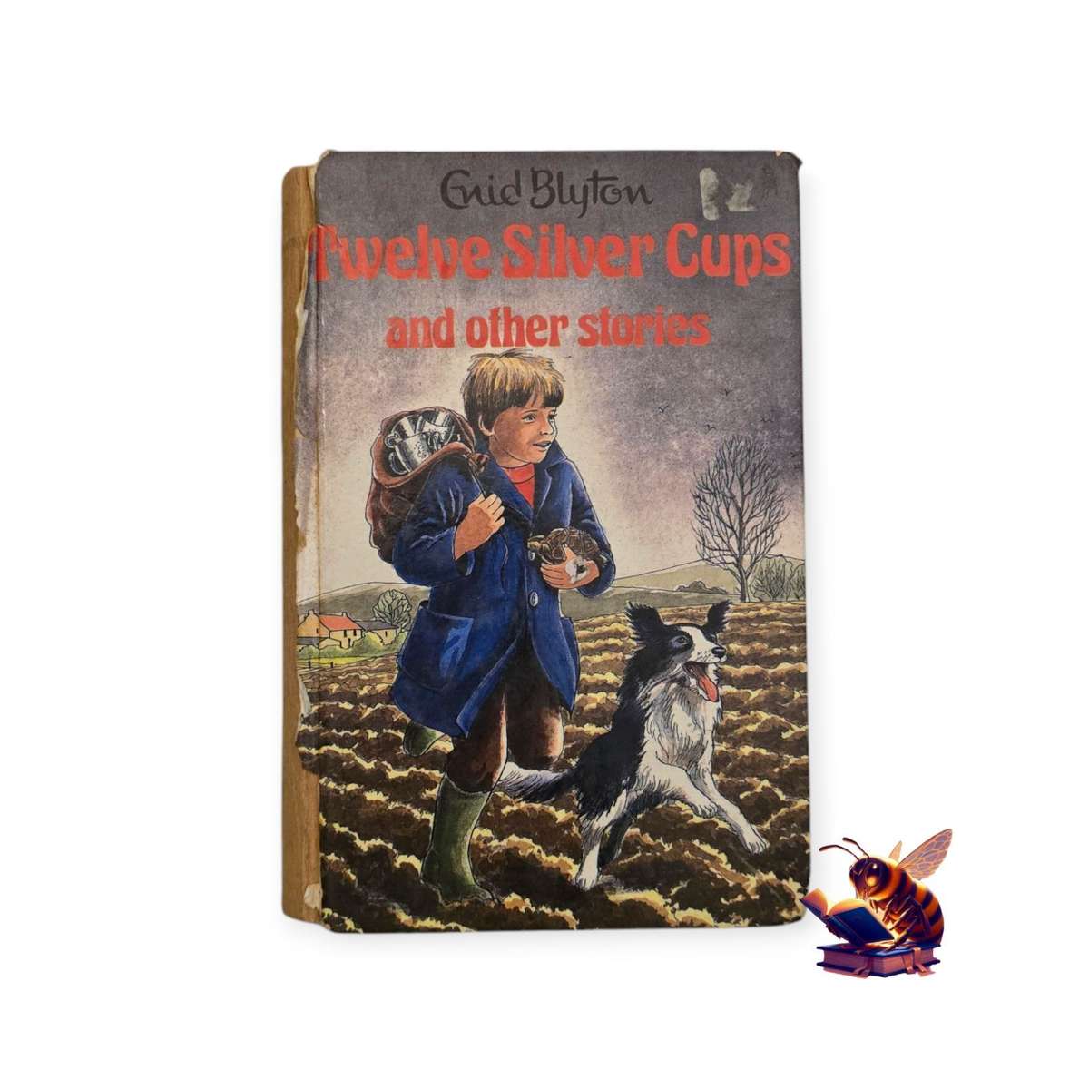 Twelve silver cups and other stories - Enid Blyton