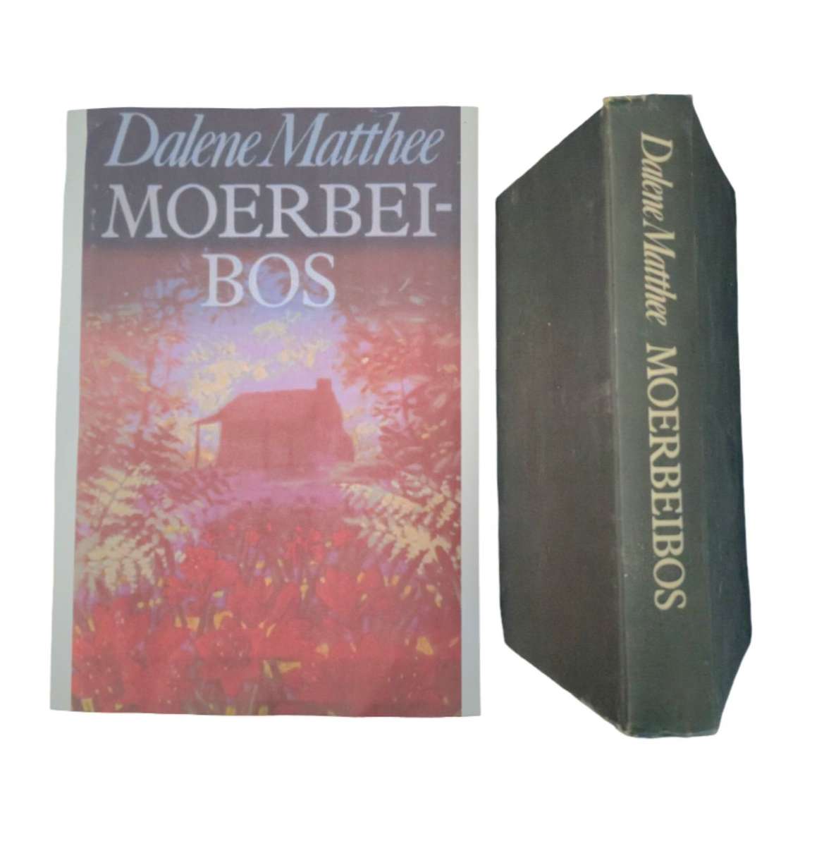 Moerbeibos - Dalene Matthee