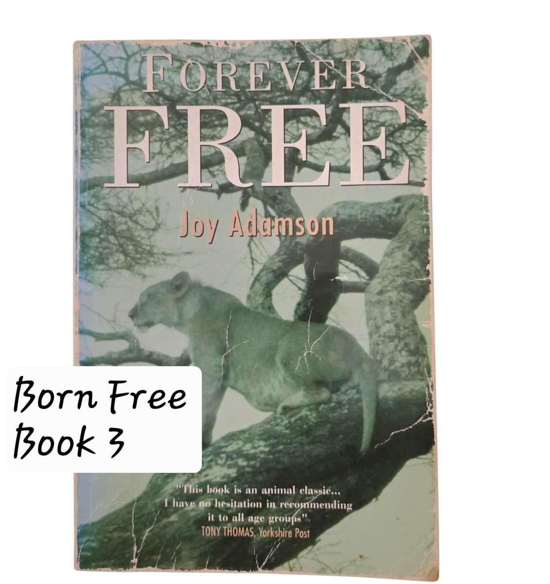 Forever Free - Joy Adamson