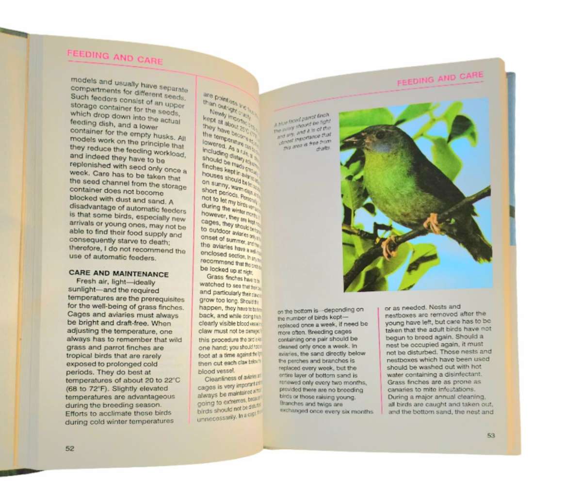 Finches - Curt Enehjelm