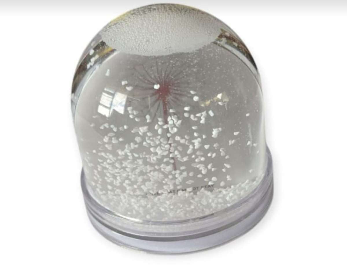 Photo Snowglobe