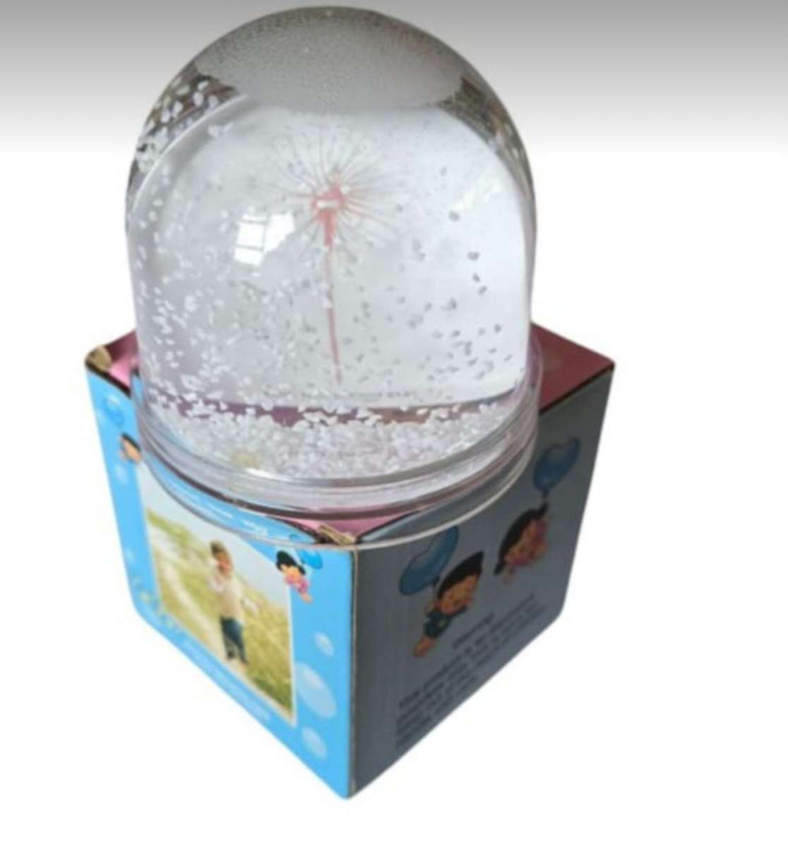 Photo Snowglobe