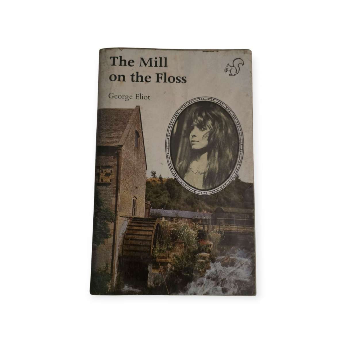 The Mill on the Floss - George Eliot