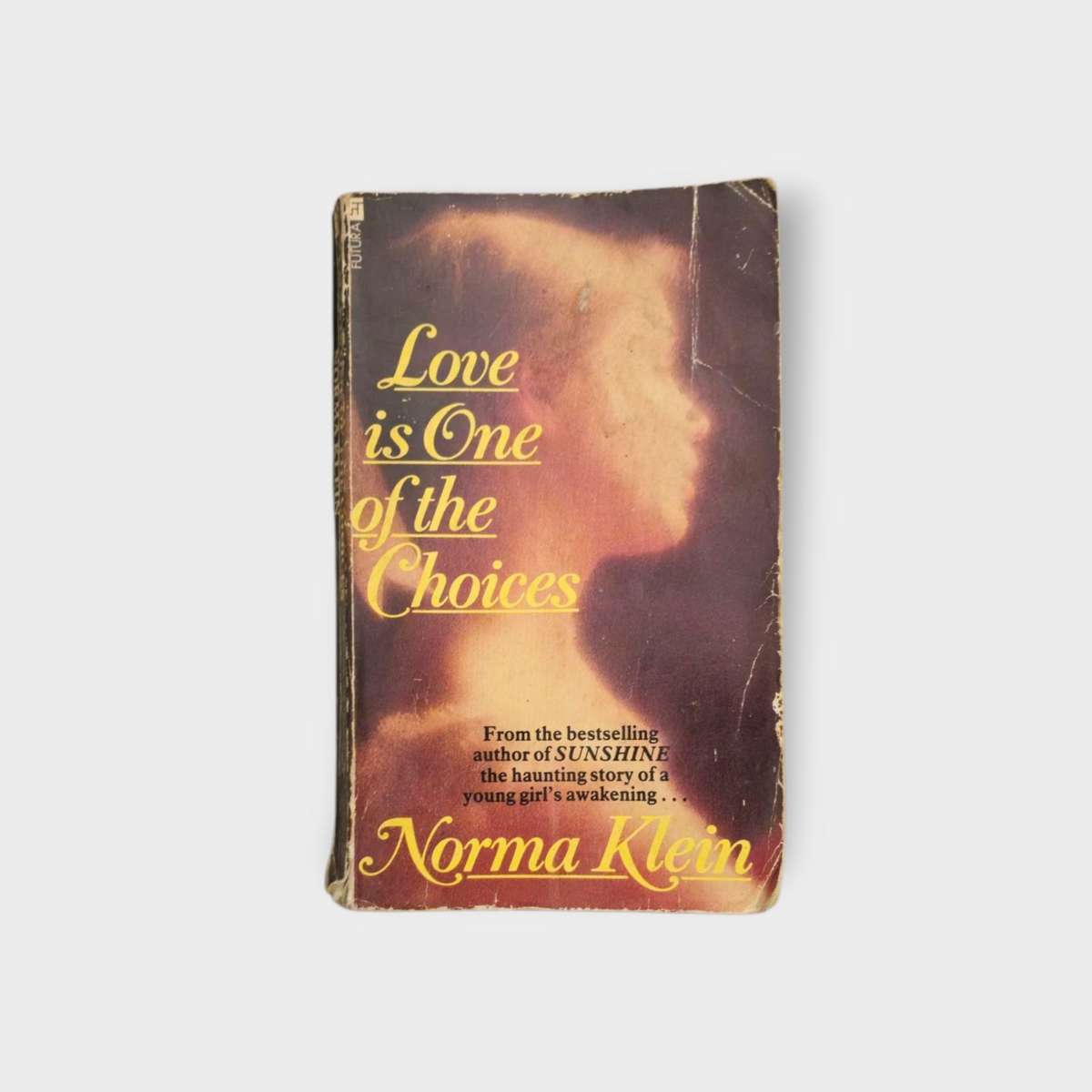 Love is one of the choices - Norma Klein