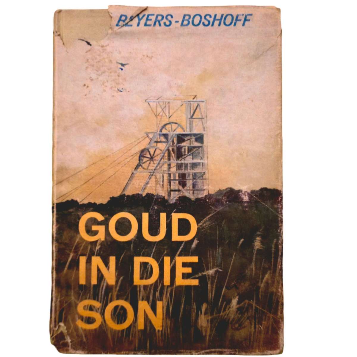 Goud in die Son - C.F. Beyers-Boshoff