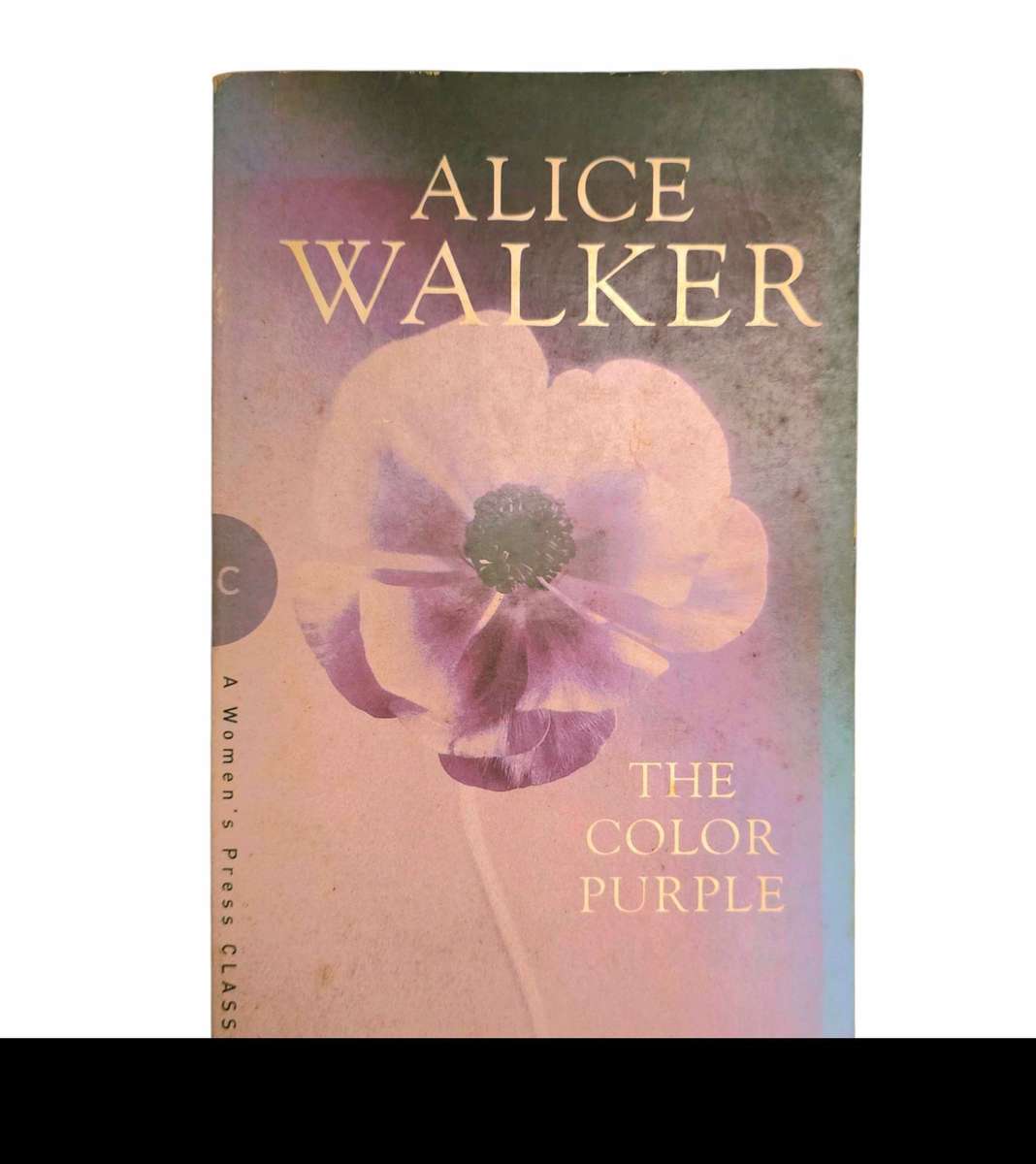 The Color Purple - Alice Walker
