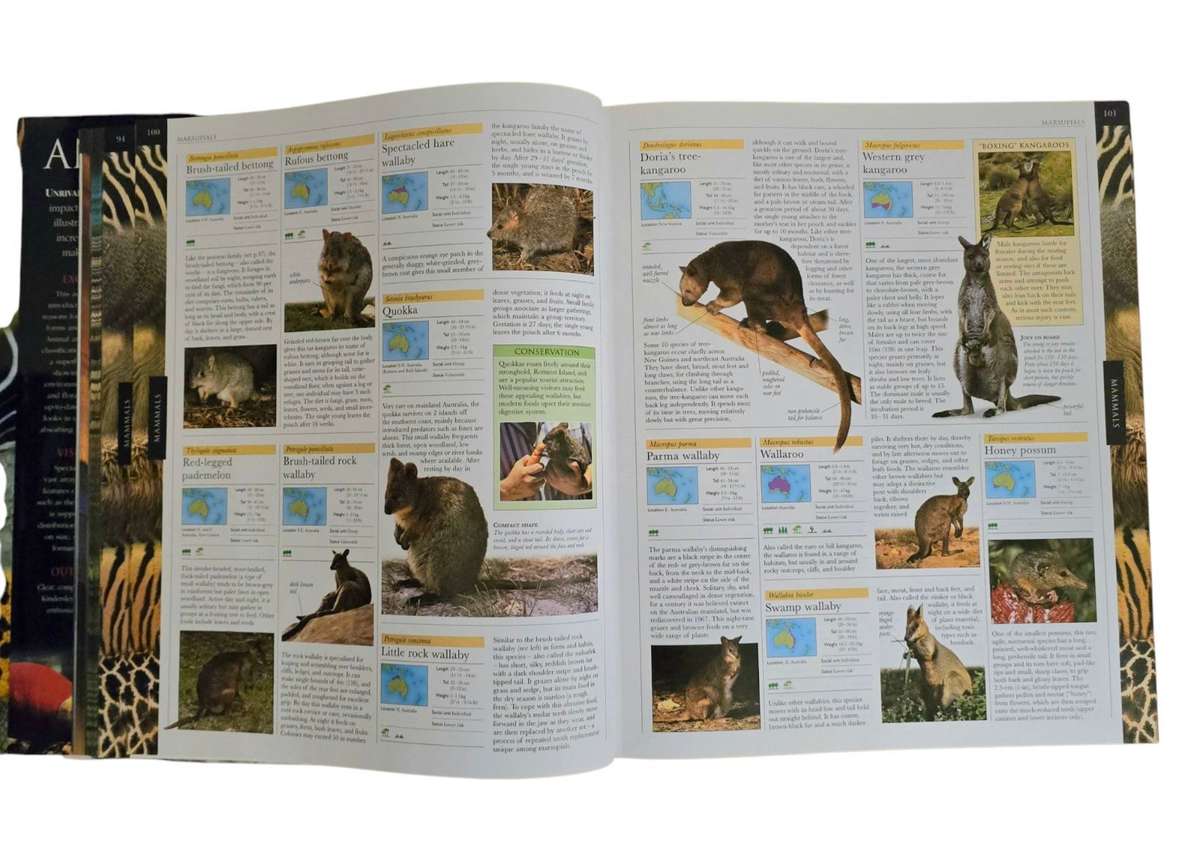 Animal: The definitive visual guide