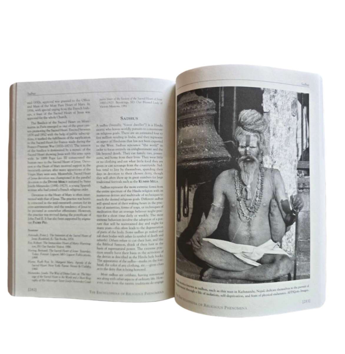 The Encyclopedia of religious phenomena - J Gordon Melton