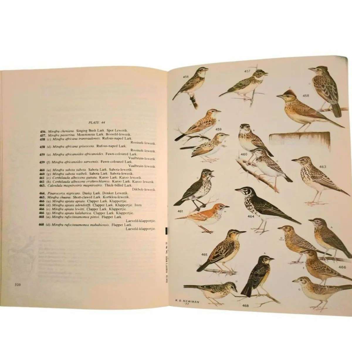 Roberts Birds of South Africa 4th edition - McLachlan & Liversidge