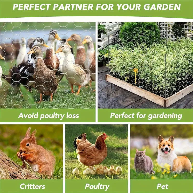 High Quality Galvanized Chicken Cage Net Durable Hexagonal Poultry Fencing 1M*10M