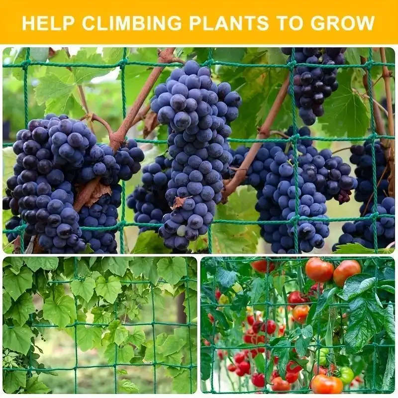 Climbing Plant Trellis