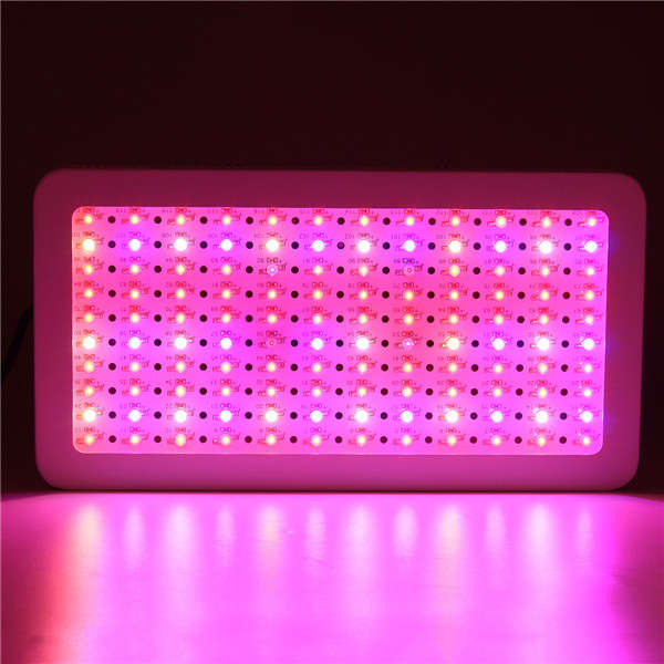 1200W Full Spectrum  LED Grow Lights Panel Lamp for Hydroponic Plant Growing