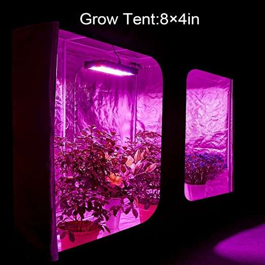 1200W Double Chips LED Grow Light Full Spectrum Grow Lamp for Greenhouse Hydroponic Indoor Plants