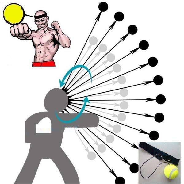 IPRee Fight Ball Boxing Speed Ball With Head Band For Reflex Speed Training Boxing Punch Exercise